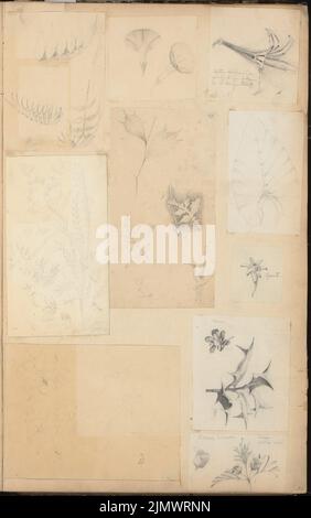 Gropius Martin (1824-1880), album di disegno 2 (ca 1870): studi di decorazione. Matita, inchiostro, montata in album, 48 x 30,1 cm (compresi i bordi di scansione) Gropius Martin (1824-1880): Skizzenalbum 2: Dekorationsstudien Foto Stock