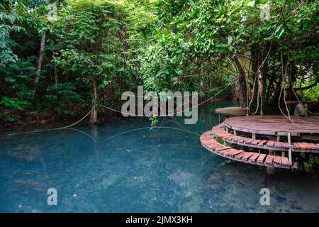 Klong SA Kaew Krabi Thailandia foresta di mangrovie popolare per kayak nel fiume di Krabi Thailandia Foto Stock