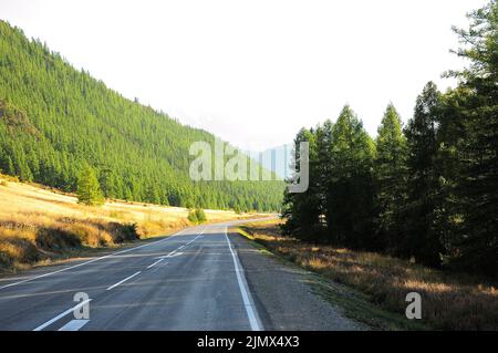 Una strada asfaltata a due corsie attraversa una valle autunnale in una foresta di conifere ai piedi di una catena montuosa. Chuisky, Altai, Siberia, Russia. Foto Stock