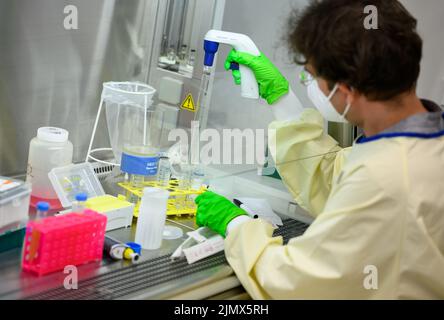 Berlino, Germania. 19th luglio 2022. Il biologo molecolare Emanuel Wyler esamina i campioni di acque reflue per la ricerca di agenti patogeni nel laboratorio di sicurezza presso il Max Delbrück Center for Molecular Medicine di Mitte. Dalla quantità di batteri e virus trovati, si possono trarre conclusioni, ad esempio sulla frequenza delle infezioni corona. Credit: Bernd von Jutrczenka/dpa/Alamy Live News Foto Stock