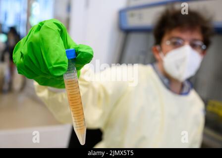 Berlino, Germania. 19th luglio 2022. Il biologo molecolare Emanuel Wyler esamina i campioni di acque reflue per la ricerca di agenti patogeni nel laboratorio di sicurezza presso il Max Delbrück Center for Molecular Medicine di Mitte. Dalla quantità di batteri e virus trovati, si possono trarre conclusioni, per esempio, sulla frequenza delle infezioni corona. (Al dpa 'arrivare davanti all'onda - come i ricercatori leggono la salute nelle acque reflue') credito: Bernd von Jutrczenka/dpa/Alamy Live News Foto Stock