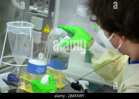 Berlino, Germania. 19th luglio 2022. Il biologo molecolare Emanuel Wyler esamina i campioni di acque reflue per la ricerca di agenti patogeni nel laboratorio di sicurezza presso il Max Delbrück Center for Molecular Medicine di Mitte. Dalla quantità di batteri e virus trovati, si possono trarre conclusioni, ad esempio sulla frequenza delle infezioni corona. Credit: Bernd von Jutrczenka/dpa/Alamy Live News Foto Stock