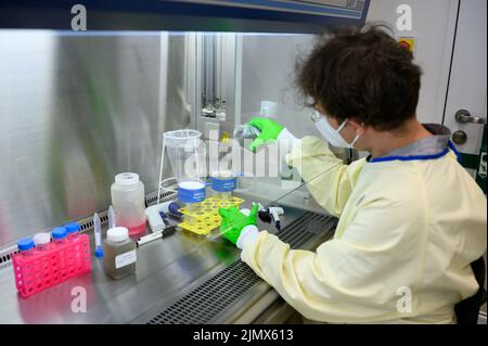 Berlino, Germania. 19th luglio 2022. Il biologo molecolare Emanuel Wyler esamina i campioni di acque reflue per la ricerca di agenti patogeni nel laboratorio di sicurezza presso il Max Delbrück Center for Molecular Medicine di Mitte. Dalla quantità di batteri e virus trovati, si possono trarre conclusioni, ad esempio sulla frequenza delle infezioni corona. Credit: Bernd von Jutrczenka/dpa/Alamy Live News Foto Stock