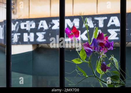 Vista verso un edificio abbandonato in rovina nella città fantasma di Varosha, Famagosta a Cipro Foto Stock