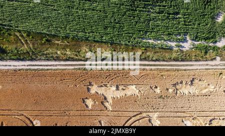 strada attraverso i campi con raccolto ucraina filmata da un drone Foto Stock