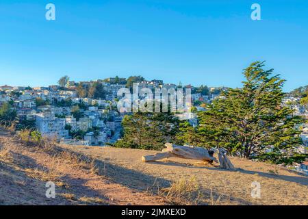 Parco di Kate Hill con tronchi d'albero nel mezzo del terreno erboso a San Francisco, California. C'è una vista degli alberi sulla collina di fronte e un Foto Stock