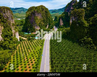 Vista aerea della strada e piantagione di olio di palma in Krabi Thailandia Foto Stock