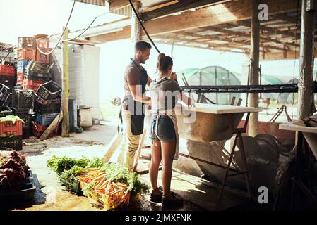 Nessuno vuole suolo e pesticidi nel loro cibo. Scatto a tutta lunghezza di una giovane coppia felice che pulisce e prepara un mazzo di carote appena raccolte a Foto Stock