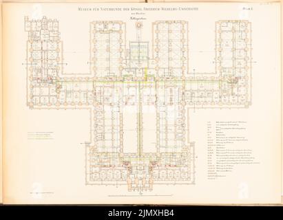 Tieden Agosto (1834-1911), Museo für Naturkunde, Berlino (1875-1888): Grundriss KG 1: 200. Litografia colorata su carta, 67,1 x 91,8 cm (inclusi i bordi di scansione) Foto Stock