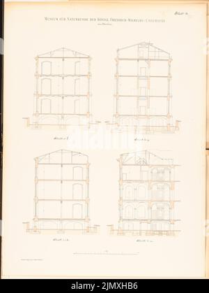 Tieden Agosto (1834-1911), Museo für Naturkunde, Berlino (1875-1888): 4 tagli 1: 100. Litografia su carta, 90,6 x 68,1 cm (inclusi i bordi di scansione) Foto Stock