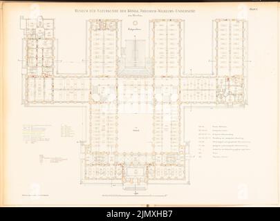 Tieden Agosto (1834-1911), Museo für Naturkunde, Berlino (1875-1888): Grundriss EG con mobili 1: 200. Litografia colorata su carta, 67,1 x 90,6 cm (inclusi i bordi di scansione) Foto Stock