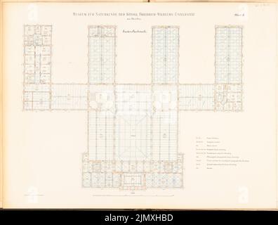 Tieden Agosto (1834-1911), Museo für Naturkunde, Berlino (1875-1888): Grundriss 1st piano 1: 200. Litografia colorata su carta, 67,5 x 89,2 cm (inclusi i bordi di scansione) Foto Stock