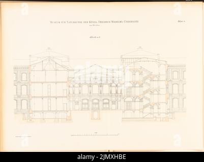 Tieden Agosto (1834-1911), Museo für Naturkunde, Berlino (1875-1888): Sezione 1: 100. Litografia colorata su carta, 67,2 x 89,9 cm (inclusi i bordi di scansione) Foto Stock