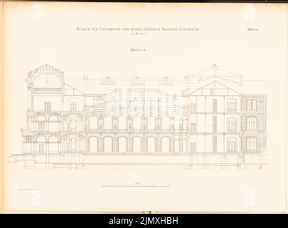 Tieden Agosto (1834-1911), Museo für Naturkunde, Berlino (1875-1888): Sezione 1: 100. Litografia colorata su carta, 67,6 x 91,2 cm (inclusi i bordi di scansione) Foto Stock