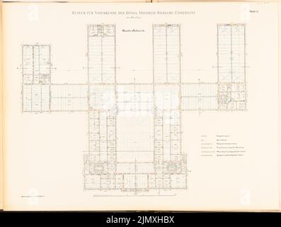 Tieden Agosto (1834-1911), Museo für Naturkunde, Berlino (1875-1888): Grundriss 2nd no 1: 200. Litografia colorata su carta, 67 x 88,7 cm (inclusi i bordi di scansione) Foto Stock
