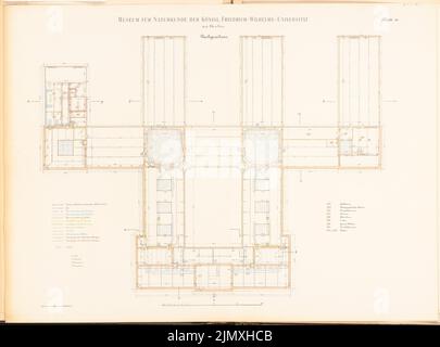 Tieden Agosto (1834-1911), Museo für Naturalkunde, Berlino (1875-1888): Grundriss DG. Litografia colorata su carta, 67 x 90,5 cm (inclusi i bordi di scansione) Foto Stock