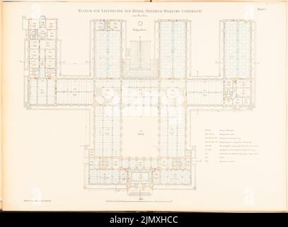 Tieden Agosto (1834-1911), Museo für Naturkunde, Berlino (1875-1888): Grundriss EG 1: 200. Litografia colorata su carta, 66,9 x 90,9 cm (inclusi i bordi di scansione) Foto Stock