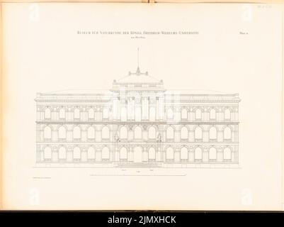 Tieden Agosto (1834-1911), Museo für Naturkunde, Berlino (1875-1888): Vista 1: 100. Litografia su carta, 67,9 x 90,8 cm (inclusi i bordi di scansione) Foto Stock