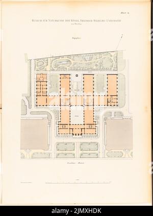 Tieden Agosto (1834-1911), Museo für Naturkunde, Berlino (1875-1888): Dipartimento 1: 400. Litografia colorata su carta, 90,1 x 67,2 cm (inclusi i bordi di scansione) Foto Stock