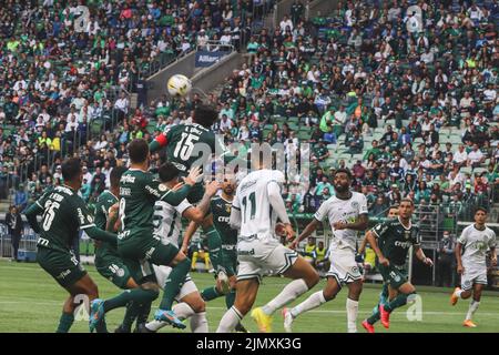 São PAULO, SP - 07.08.2022: PALMEIRAS X GOIAS - Partita tra Palmeiras e Goias per il Campionato brasiliano 2022 ad Allianz Parque la Domenica pomeriggio (7). (Foto: Yuri Murakami/Fotoarena) Foto Stock