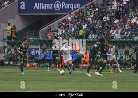 São PAULO, SP - 07.08.2022: PALMEIRAS X GOIAS - Partita tra Palmeiras e Goias per il Campionato brasiliano 2022 ad Allianz Parque la Domenica pomeriggio (7). (Foto: Yuri Murakami/Fotoarena) Foto Stock