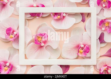 Vista dall'alto orchidee con telaio Foto Stock