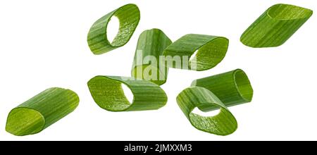 Cipolla verde, erba cipollina tagliata isolata su fondo bianco Foto Stock