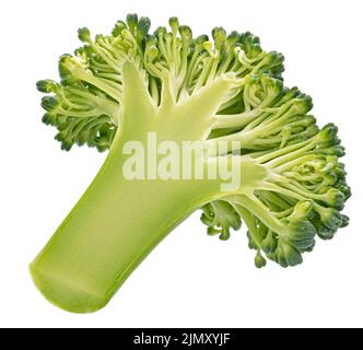 Fetta di broccoli isolata su sfondo bianco Foto Stock