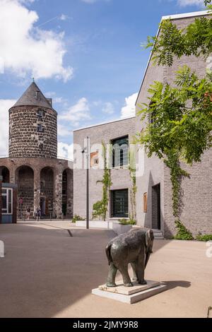 Costruzione del campus scolastico Bildungslandschaft Altstadt Nord (BAN) vicino al parco Klingelpuetz, architetto Gernot Schulz, sullo sfondo la torre Foto Stock