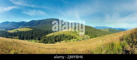 Villaggio di montagna. Paesaggio di campagna estivo con foresta di abeti sul pendio (Carpazi, Ucraina). Foto Stock