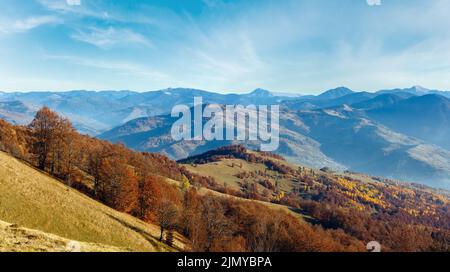 Autunno dorato in montagna. Foto Stock
