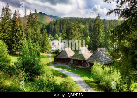 Vista estiva della casa di legno popolare situato nel museo delle foreste Skanzen del villaggio di Orava, Zuberec, Slovacchia. Orava Skanzen Foto Stock