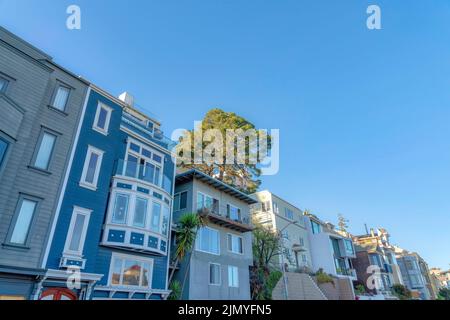 Townhomes in una vista ad angolo basso con un albero alla schiena contro il cielo blu a San Francisco, CA. Fila di case cittadine a più piani con tradizionale e m Foto Stock