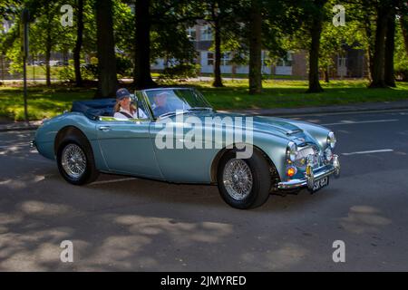 1966, 60s, anni Sessanta, blu Austin Healey Cabrio; al Lytham Hall 13th Classic Car & Motorcycle Show Classic Vintage Collectible Transport Festival veicoli. Foto Stock