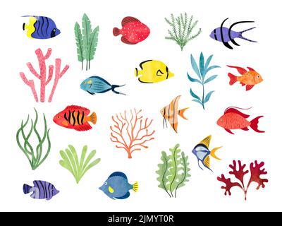 Pesci tropicali e alghe isolate su bianco. Grande vettore acquario set di acquerello diversi pesci e decorazioni. Illustrazione Vettoriale