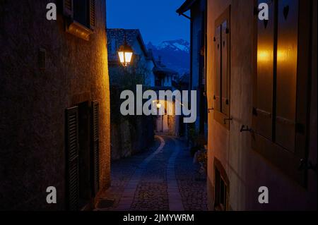 Il paesaggio di Saint-Saphorin di notte. Il villaggio situato nel cantone svizzero di Vaud, sulla riva del lago di Ginevra (Lac Leman), nel distretto di Foto Stock