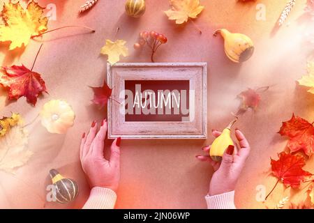 Cornice autunnale, testo di saluto didascalia Autunno. Mani con telaio e zucca. Foglie di caduta asciutte su cartone piatto posare. Foto Stock