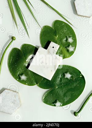 Foglie di giglio d'acqua e germogli su sfondo bianco. Anelli d'acqua. Mockup con posto per prodotto su cartone di marmo. Foto Stock
