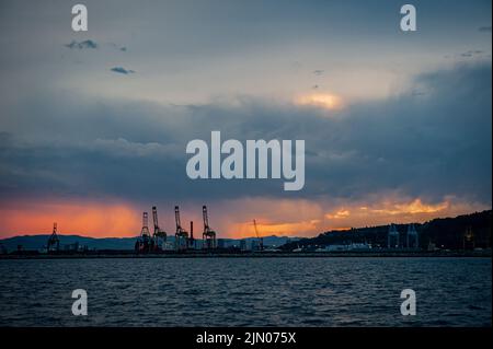 Autogru container presso la zona logistica e industriale di la zona Franca nel porto di Barcellona, Spagna Foto Stock