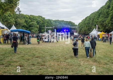 Tappa principale al Django Reinhardt Festival di Fontainebleau, Francia. Foto Stock