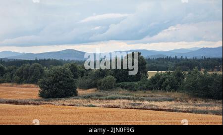 Guardando oltre i campi di orzo e gli alberi a Strathallan e Crieff e più Strathearn in lontananza Foto Stock