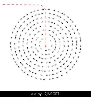 Formica di colonia. Lavoratori formiche marching, una formica che cambia direzione. Siate voi stessi, pensate diversamente concetto. Uscire dalla linea, innovazione, unico, leader Illustrazione Vettoriale