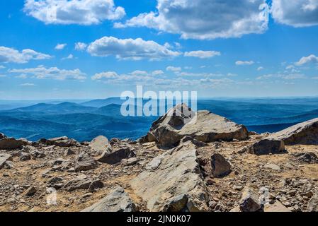 Mare infinito di vette di montagna coperto di foresta di conifere in blu foschia - paesaggio estivo di montagna Shoria in Sheregesh stazione sciistica, Siber occidentale Foto Stock