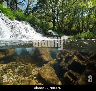 Piccola cascata su un fiume sopra e sotto la superficie d'acqua vista a livello diviso, Spagna, Galizia, Rio Verdugo Foto Stock