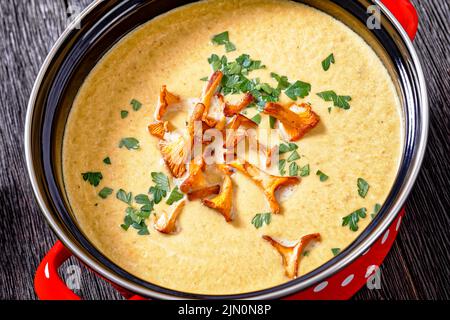 Primo piano di Kanttarellikitto, zuppa finlandese di Chanterelle in vaso rosso su tavolo di legno scuro, vista orizzontale dall'alto Foto Stock