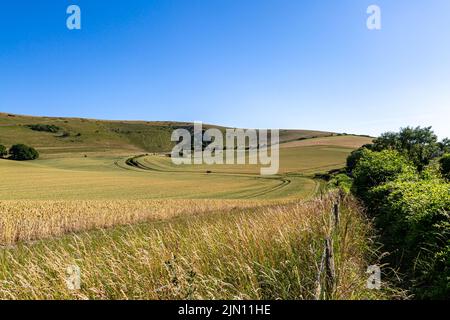 Guardando fuori sopra i terreni agricoli verso il Long Man of Wilmington, in una giornata estiva soleggiata Foto Stock