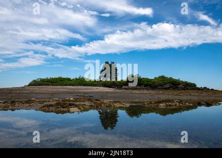 Luglio 3, 2022. Barnes Island a bassa marea. Foto Stock