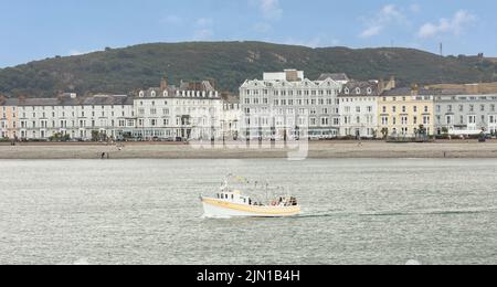 Llandudno North Wales regno unito 01 agosto 2022 giro turistico in barca da diporto che passa davanti agli hotel vittoriani lungo lanndudno front Foto Stock