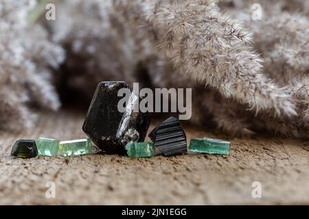 Gruppo di tormaline nere e verdi su tavola di legno. Collezione di pietre cristalline naturali Foto Stock