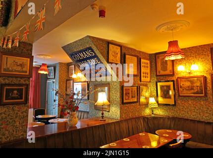 Interno dell'Albion Inn, Volunteer St / Park St, Chester, Cheshire, Inghilterra, Regno Unito, CH1 1RN Foto Stock